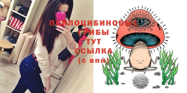 apvp Белоозёрский