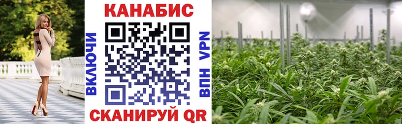 Конопля MAZAR  Володарск 
